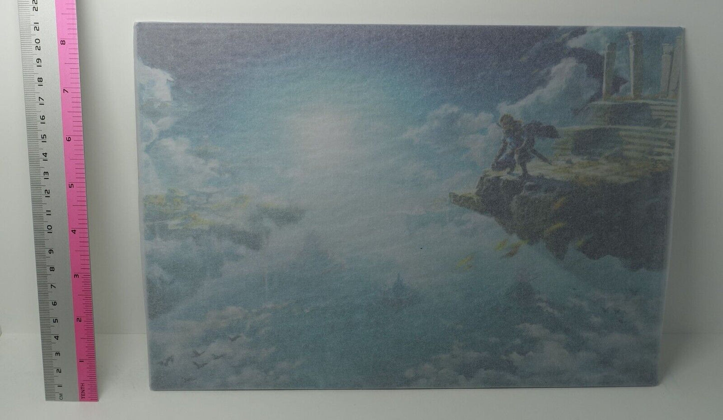 The Legend of Zelda Tears of the Kingdom Steel Poster 