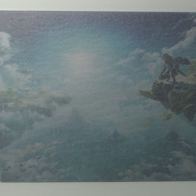 The Legend of Zelda Tears of the Kingdom Steel Poster 