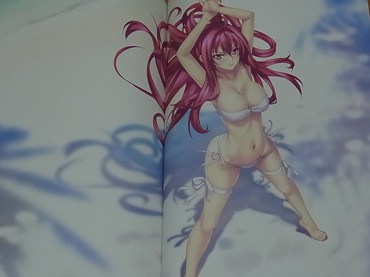 Nobol Kannatsuki Color Art Book ensemble polyphonica 