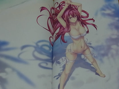 Nobol Kannatsuki Color Art Book ensemble polyphonica 