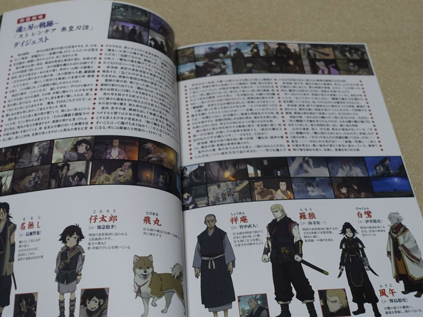 SWORD OF THE STRANGER Movie Brochure Pamphlet 