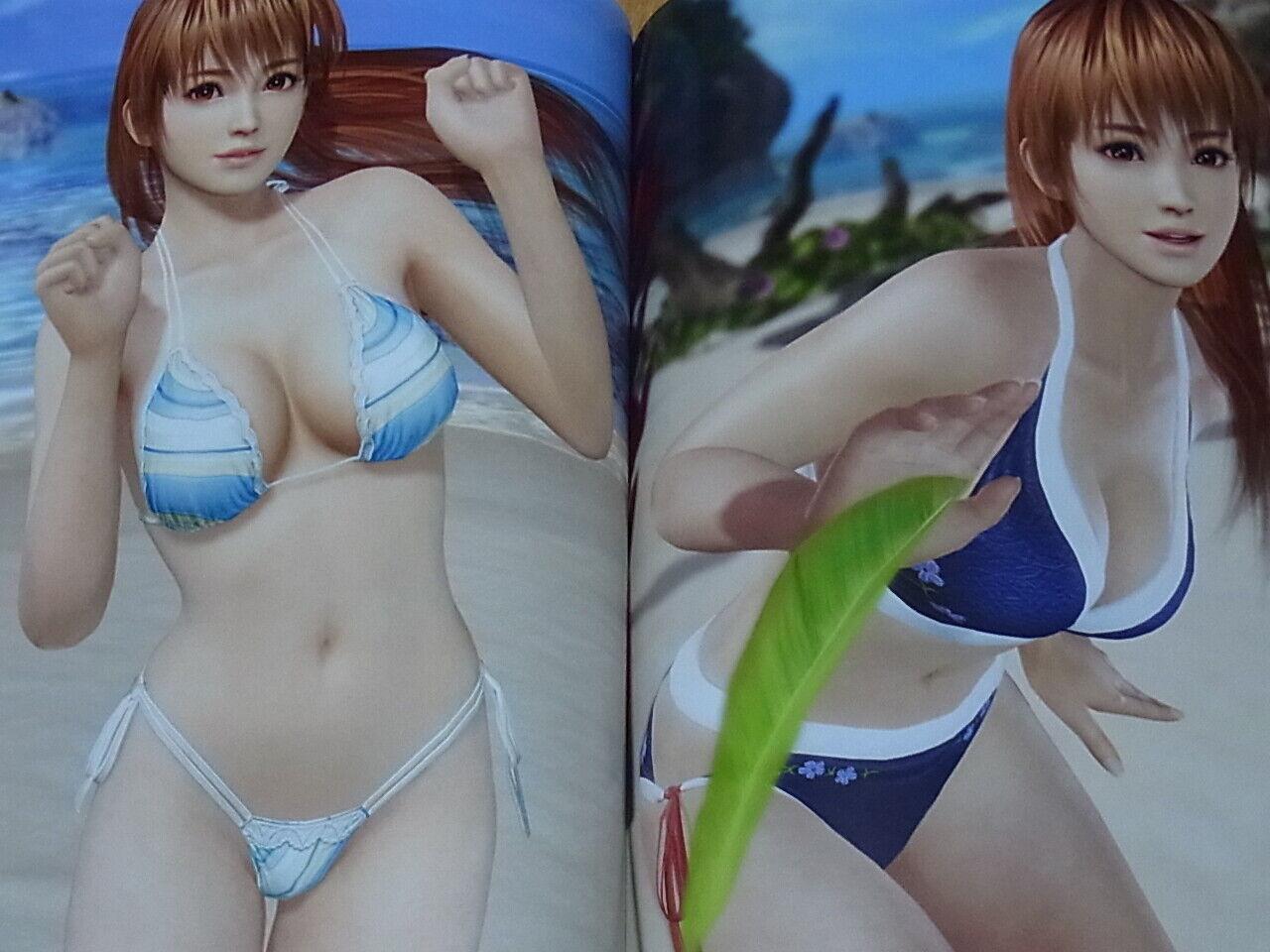 Dead Or Alive Xtreme 3 Photogravure Visual Art Book Fortune & Venus Set xtreme3 