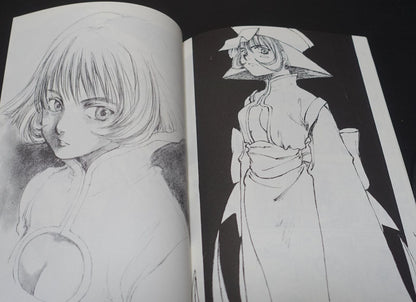 Kei Toume Vampire Lei Lei Rei Rei Fan Art & Comic Book Electric Bat 