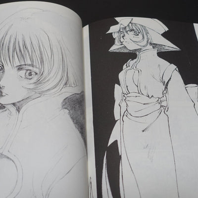 Kei Toume Vampire Lei Lei Rei Rei Fan Art & Comic Book Electric Bat 