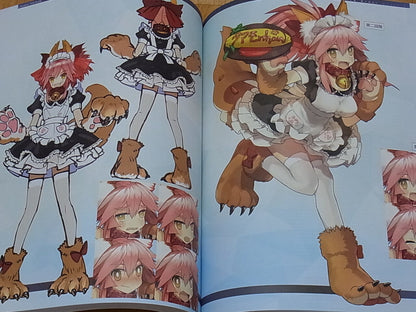 TYPE-MOON Fate FGO Setting art book Fate Grand Order material 2 