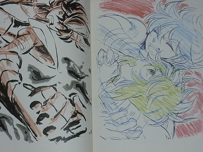 TERUMI NISHII POWER of CHARACTERS Animation Mushishi Seiya Pengdrum 