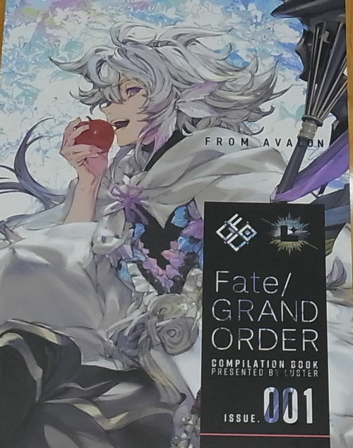 LUSTER Fate FGO Color Fan Art Book Fate Grand Order Compipation book 001 C95 