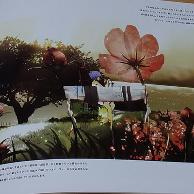 SINNNKAI Touhou Hinanai Tenshi Fan Irrustrated Story Zoku Tenco's STORY TOHO 