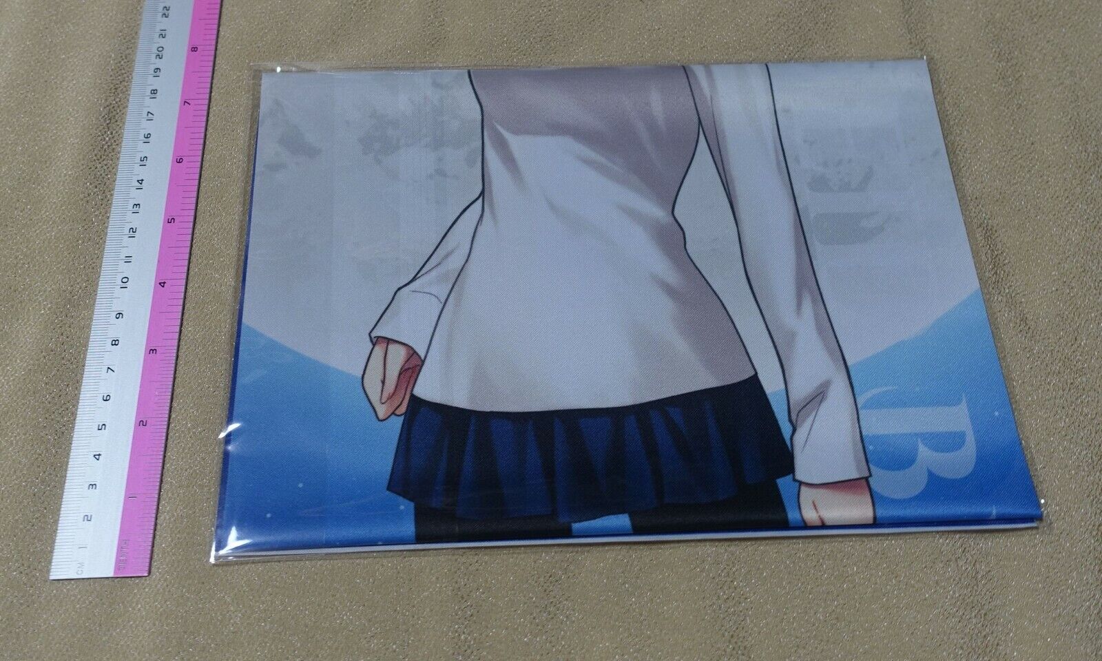 Tsukihime A piece of blue glass moon Arcueid Brunestud Cloth Poster 