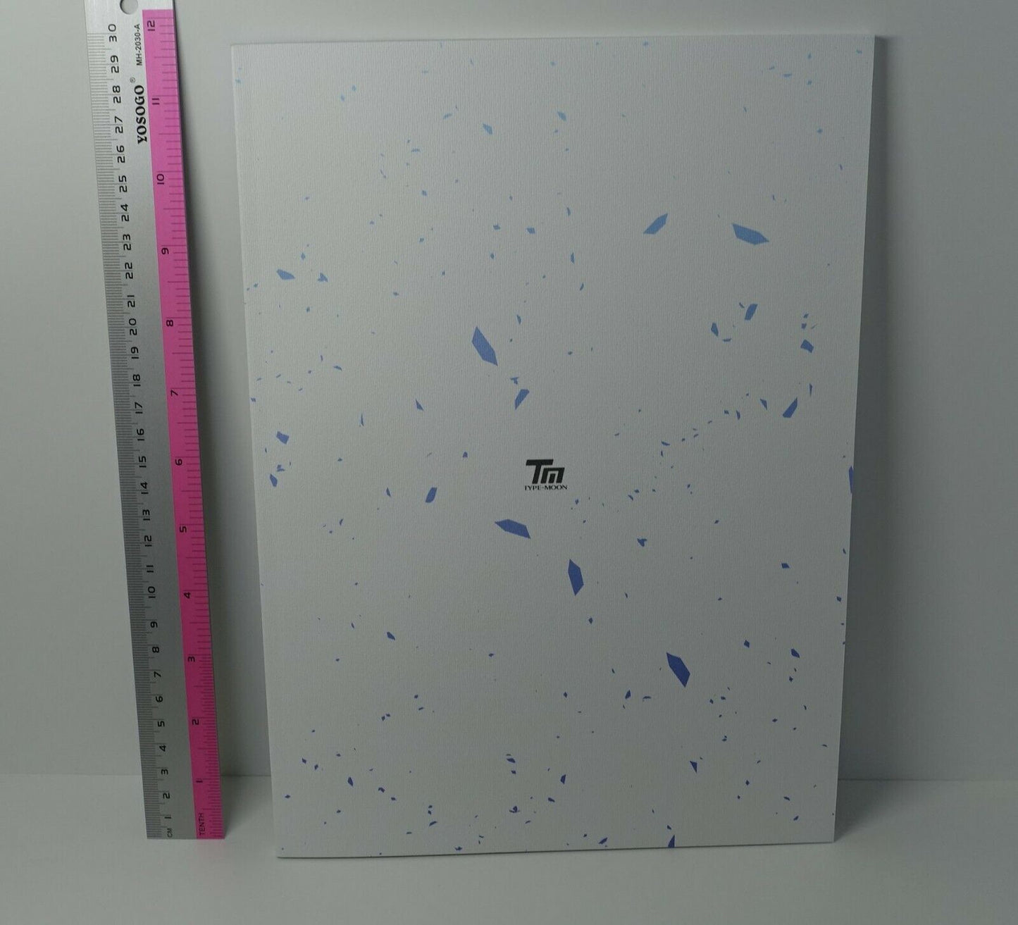 Tsukihime A piece of blue glass moon Official Fan Book Tsukihime Sou Hon 100page 