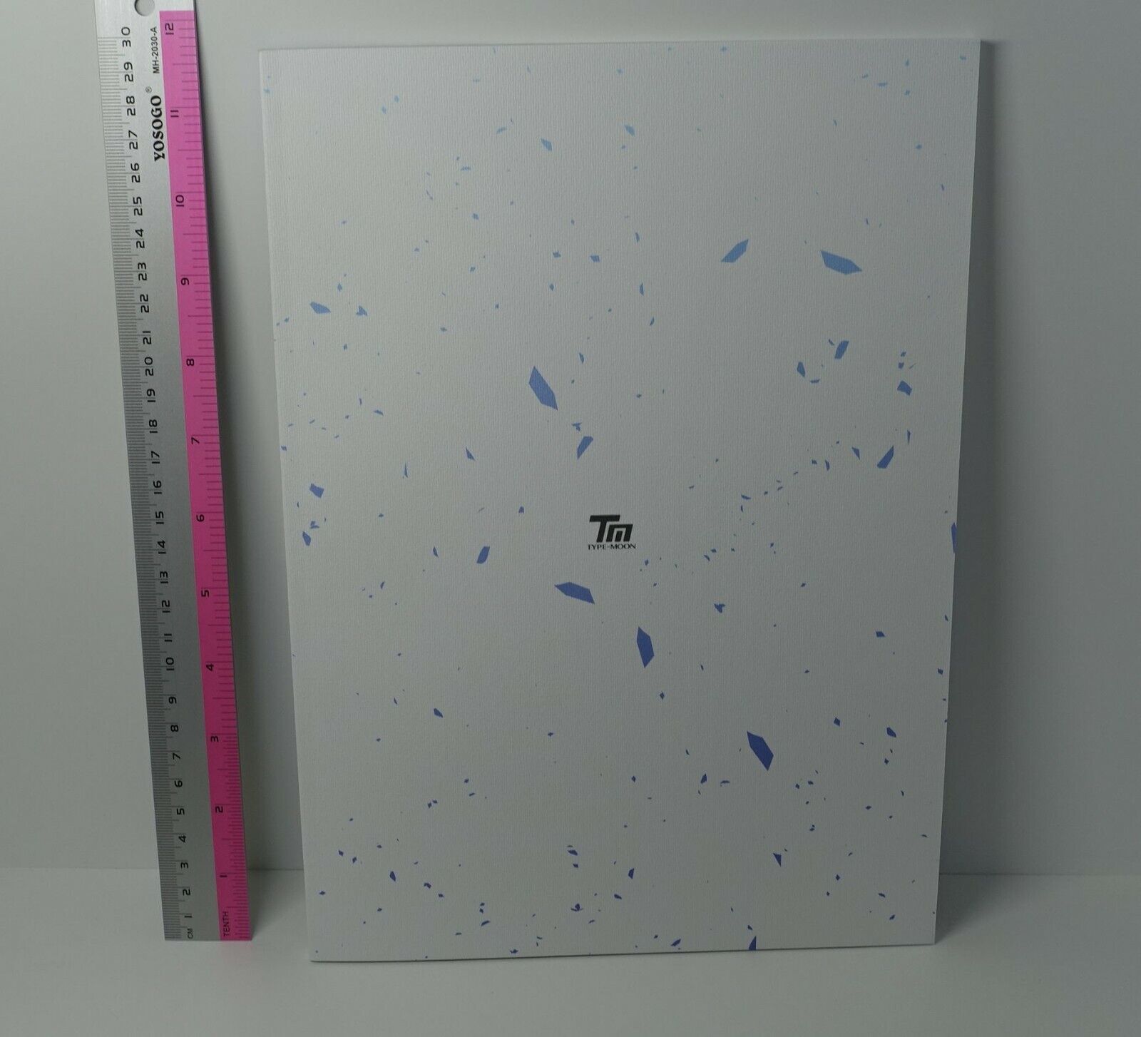 Tsukihime A piece of blue glass moon Official Fan Book Tsukihime Sou Hon 100page 