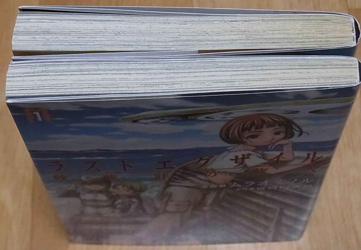 Minoru Murao Comic LAST EXILE 1-2 Complete Set Rare 