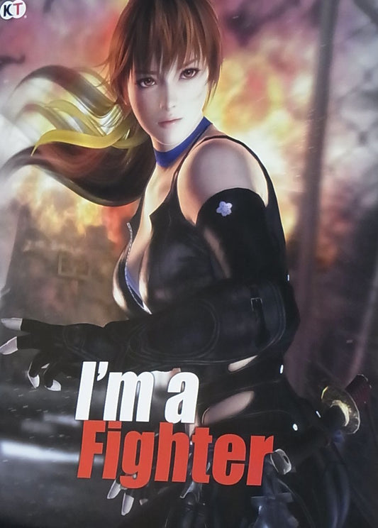 Dead Or Alive 5 Privilege Item I'm a Fighter Poster B2 Big Size Kasumi 