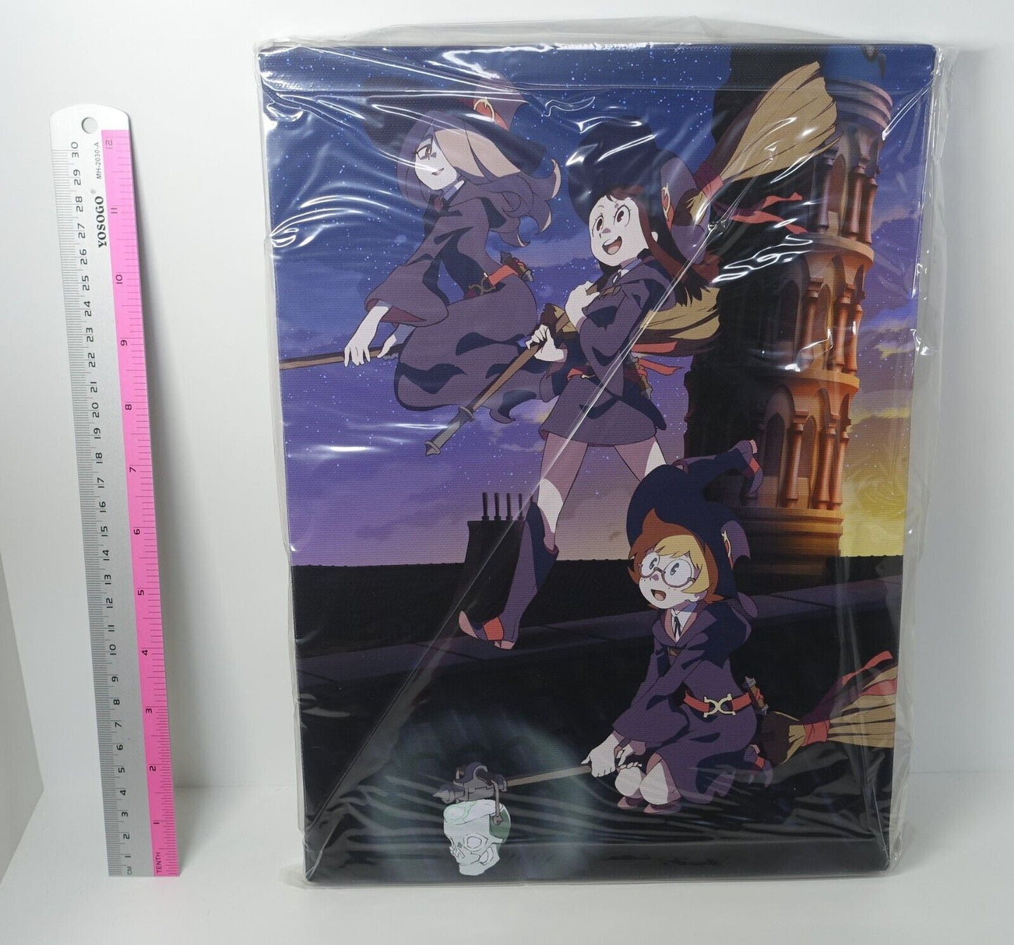 Little Witch Academia Fine Art Board 