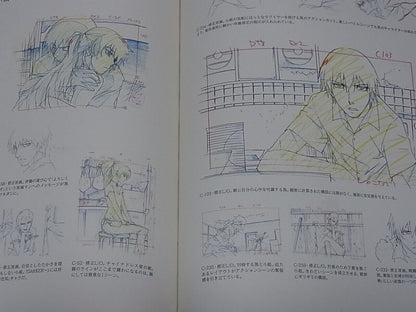 DARKER THAN BLACK Gemini of the Meteor ART WORK BOOK 4 
