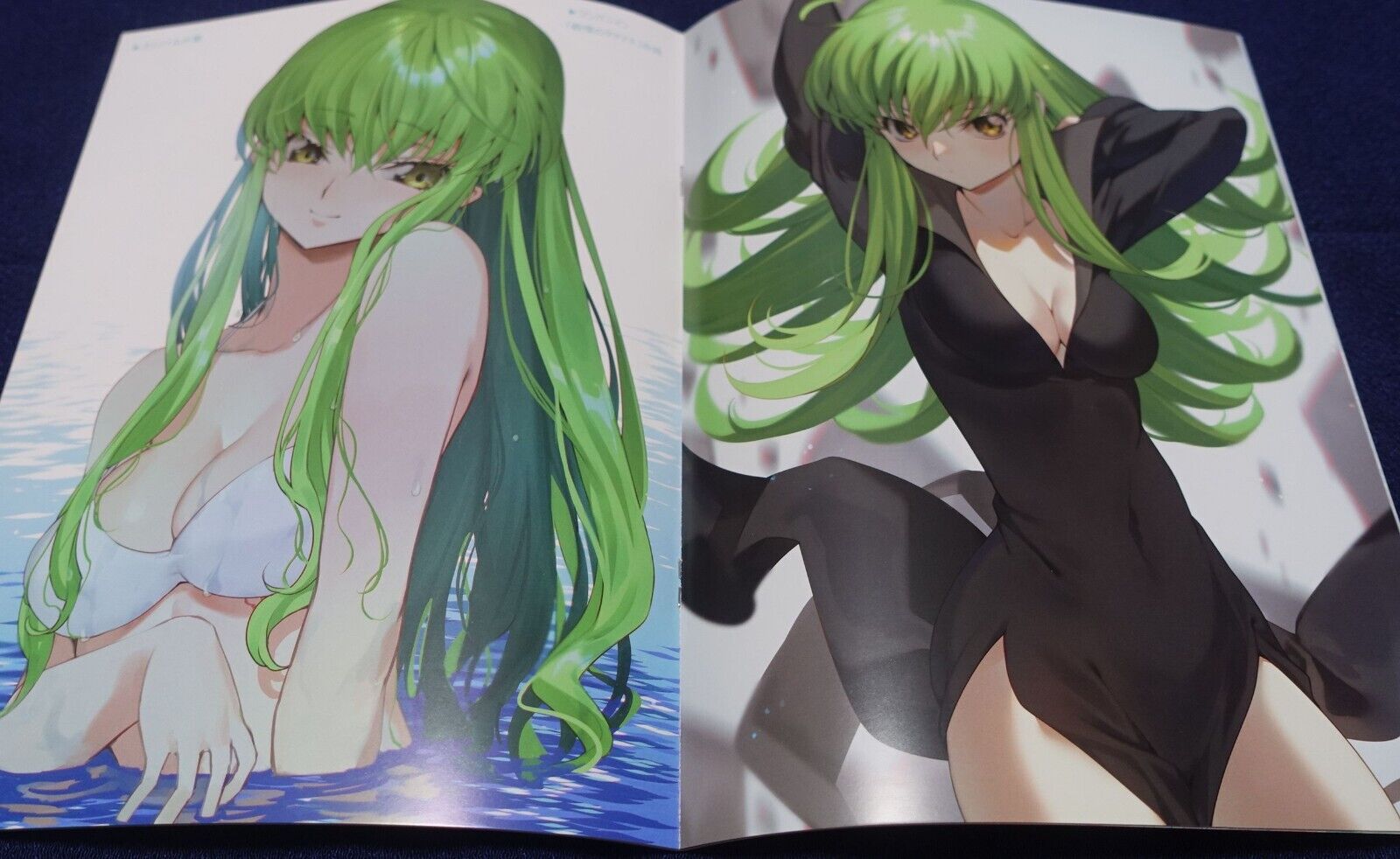 CREAYUS Code Geass Fan Art Book Noise Pollution 4.5 & PVC Art Sheet Pre C100 