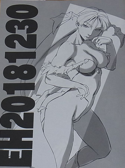 Refuge fighting game characters fan art Book EH20181230 C95 
