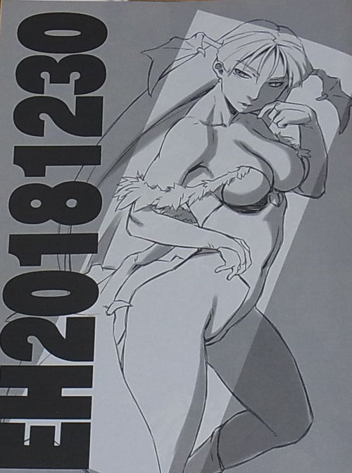 Refuge fighting game characters fan art Book EH20181230 C95 