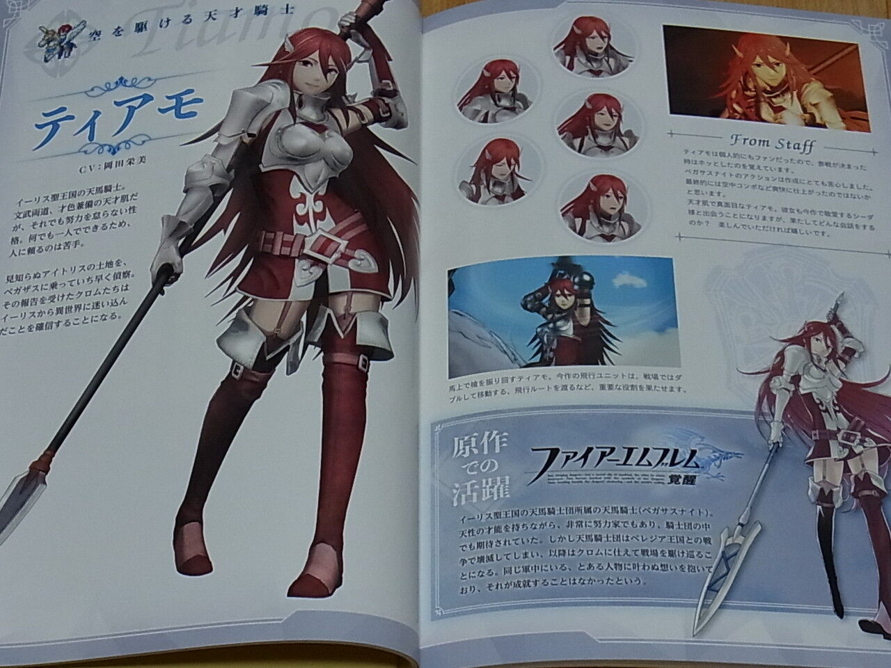 Fire Emblem Musou Setting Art Hard Cover Book 80page Warriors 