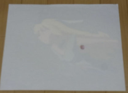 Cel Japanimation Tenchi Muyo Pretty Sammy Pixy Misa Japanese Animation 
