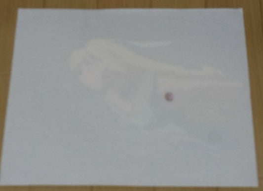 Cel Japanimation Tenchi Muyo Pretty Sammy Pixy Misa Japanese Animation 