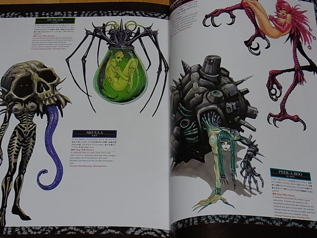 Yasushi Nirasawa Color Art Book CHAMELEON with Raw Autograph Sign & Illustration 