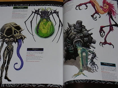 Yasushi Nirasawa Color Art Book CHAMELEON with Raw Autograph Sign & Illustration 