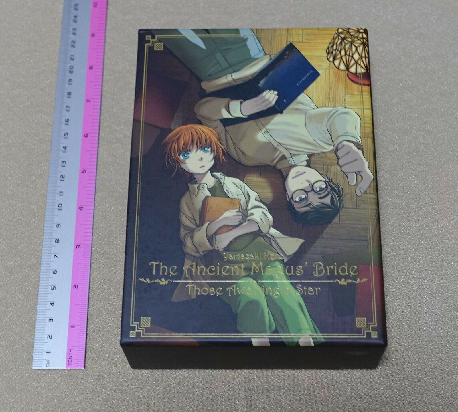 The Ancient Magus Bride Mahou Tsukai no Yome Those Awaiting a Star DVD Set 