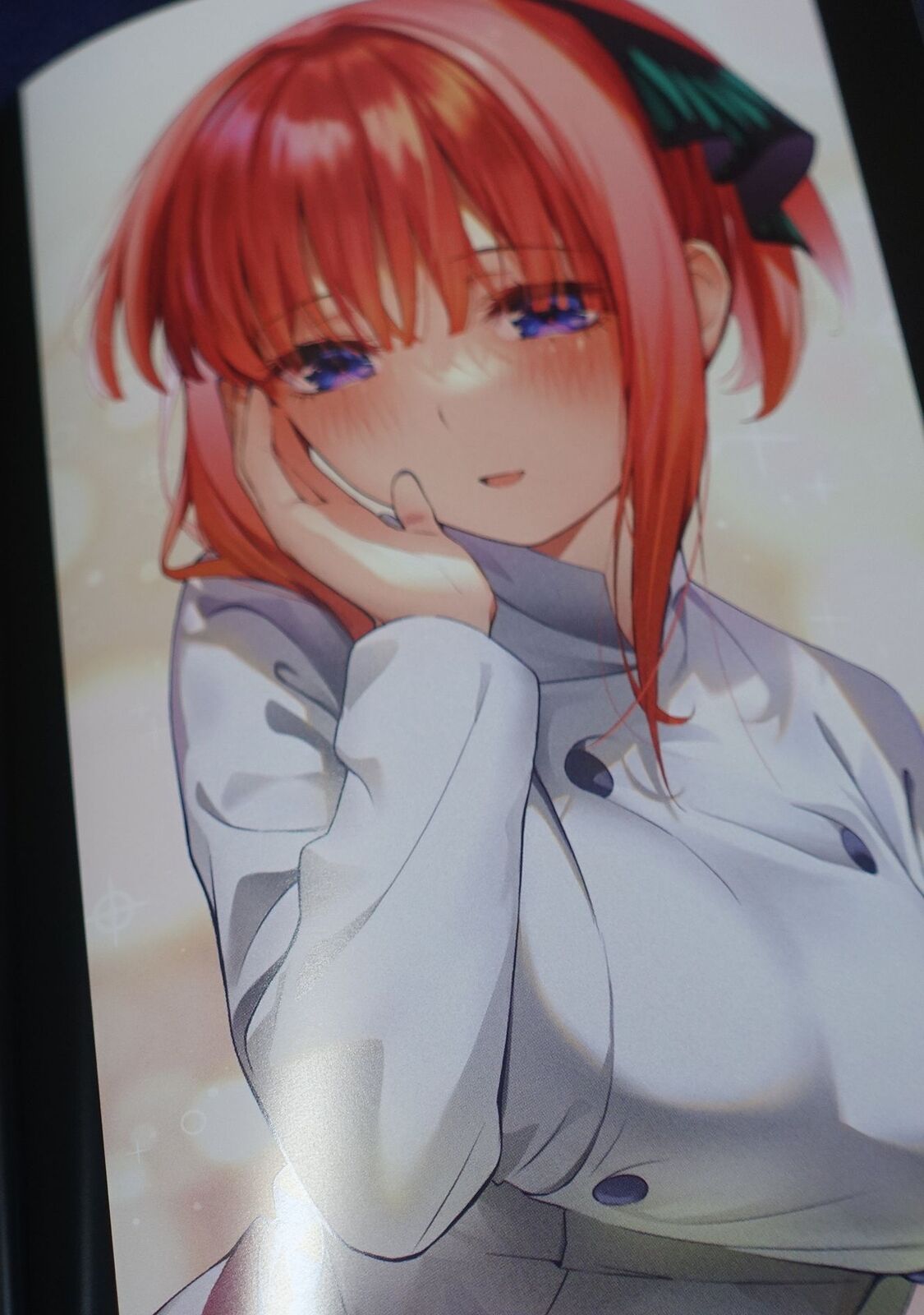The Quintessential Quintuplets Animation Director Illustration Book C100 