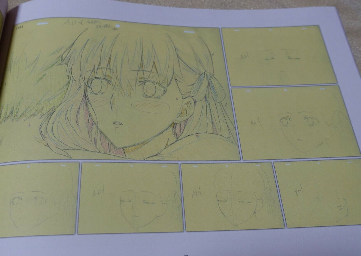 ufotable Fate stay night Heaven's Feel Art Director's Key Frame Art Book 