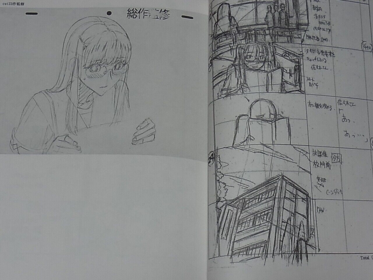 Honjou Raita Animation Absolute Whiteness Magical Girl Key Frame Art Book 