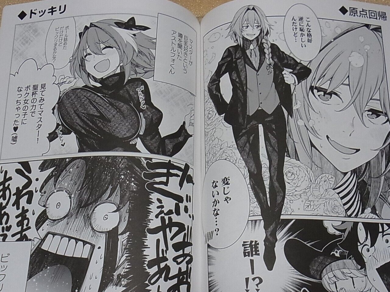 Hiroki Orihara Fate FGO ASTOLFO & D'EON Fan Doujinshi DOODLE 