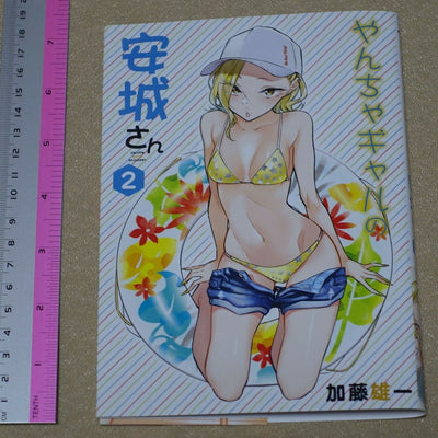 Yuichi Kato Yancha Gal no Anjo San Special Book Cover For Vol.2 