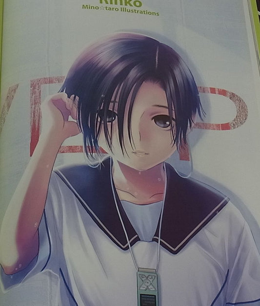 Mino Taro Illustrations Rinko Love Plus Hard Cover Art Book 