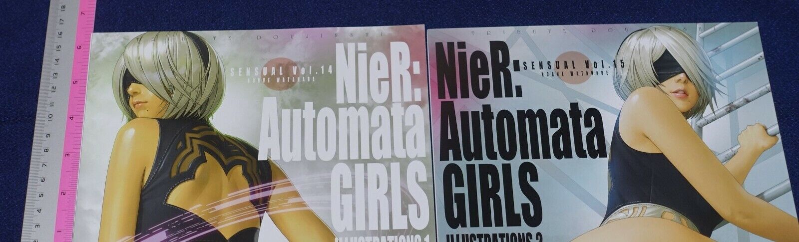 Castlism NieR Fan Art Book NieR Automata GIRLS ILLUSTRATIONS1 & 2 Set 