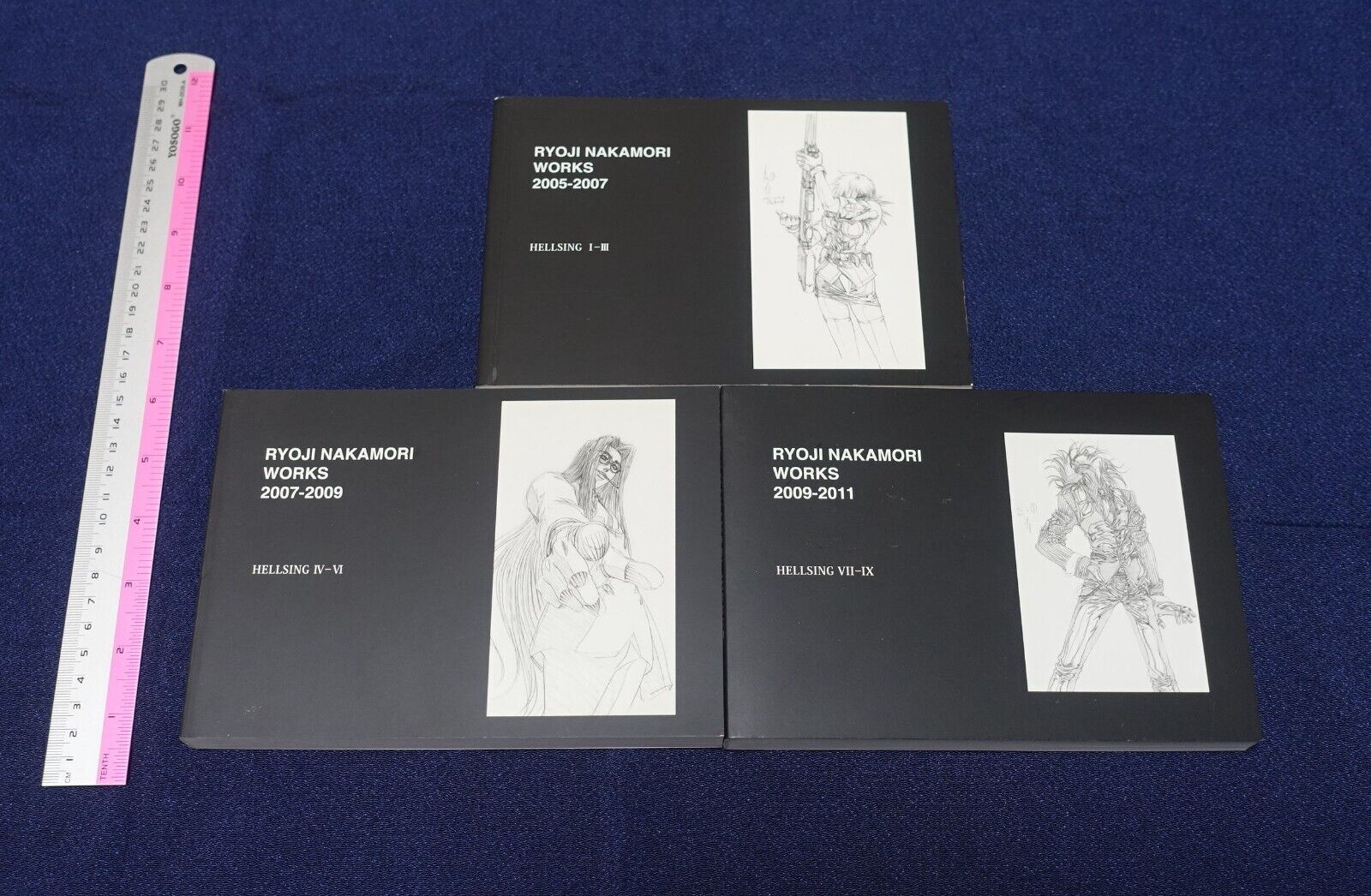 RYOJI NAKAMORI WORKS 2005-2012 HELLSING 1-11 Key Frame art collection book Set 