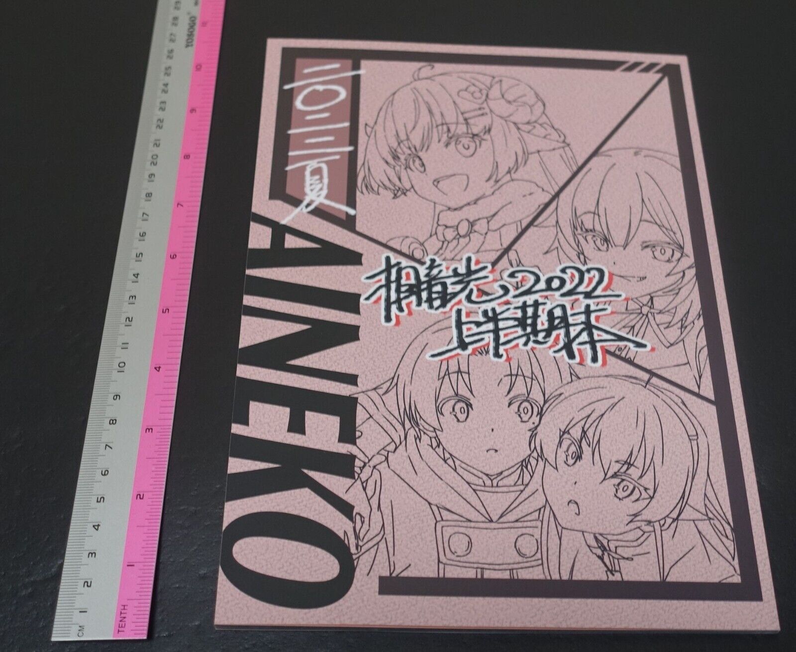 Aine Kou Kaguraya Hololive Mushoku Tensei Animation Art Work Book 2022 