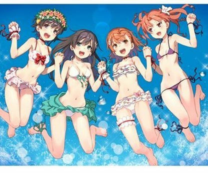 raika9 A Certain Scientific Railgun Fan Art Book Mikasa Mikoto9 C96 