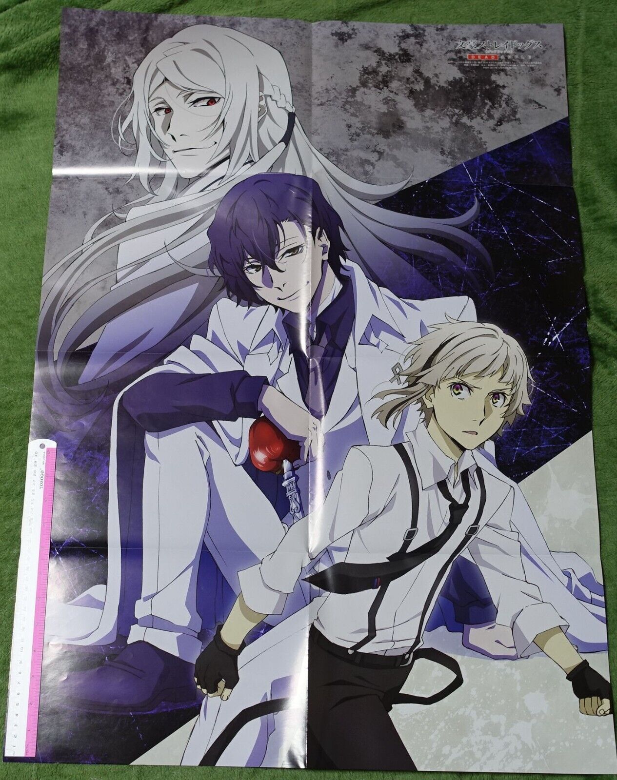 Houseki no Kuni Land of the Lustrous Bungo Stray Dogs Reversible Big Poster 