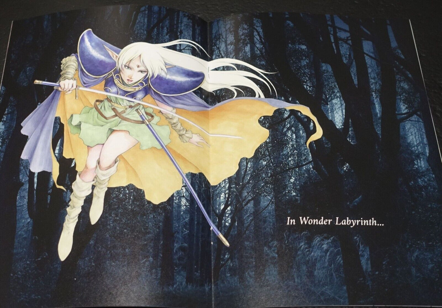 Studio Oboro Record of Lodoss War Fan Art Book LIBRA 