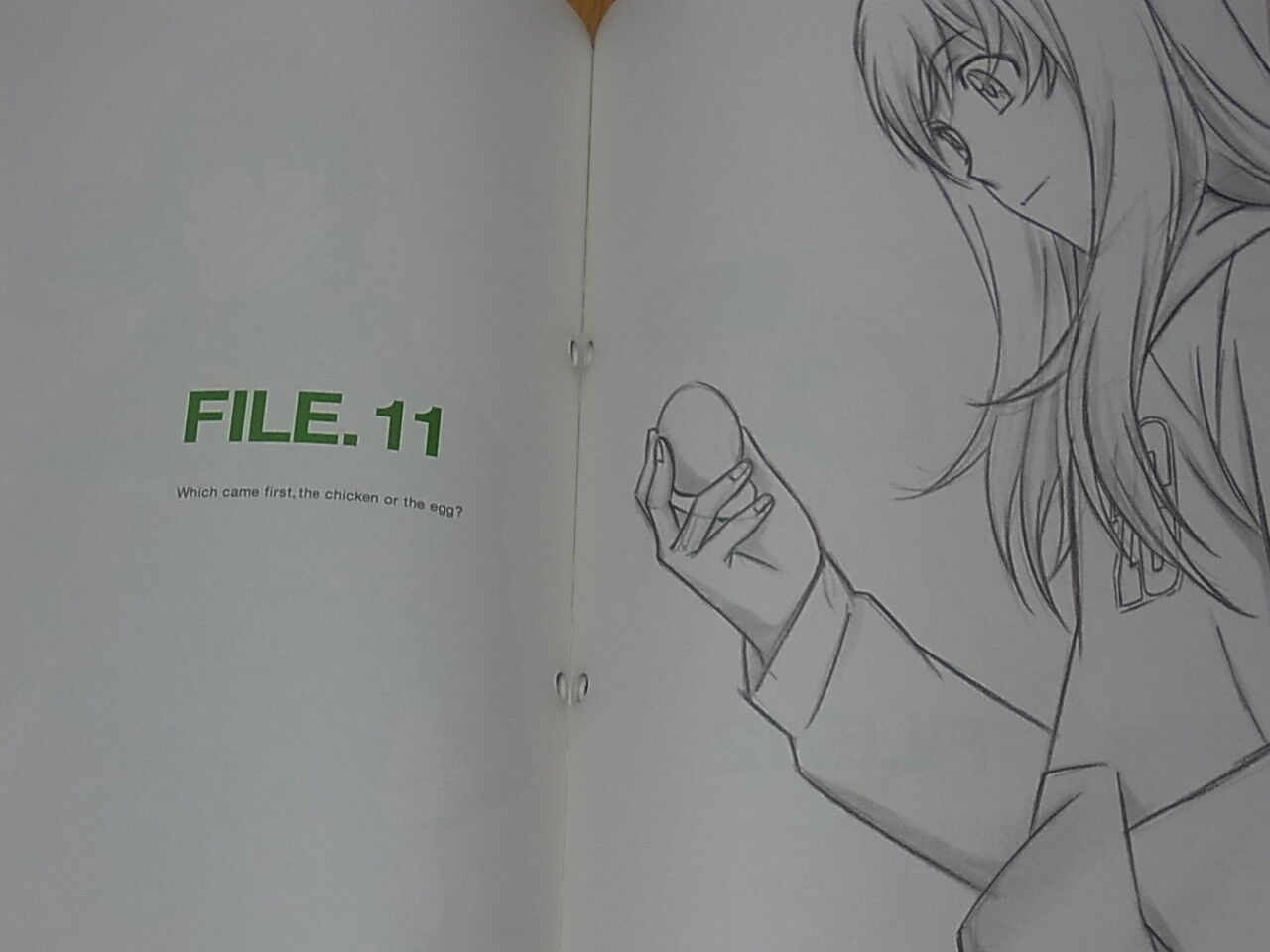 Darker Than Black Character Designer's Fan Art Book BLACK FILE 