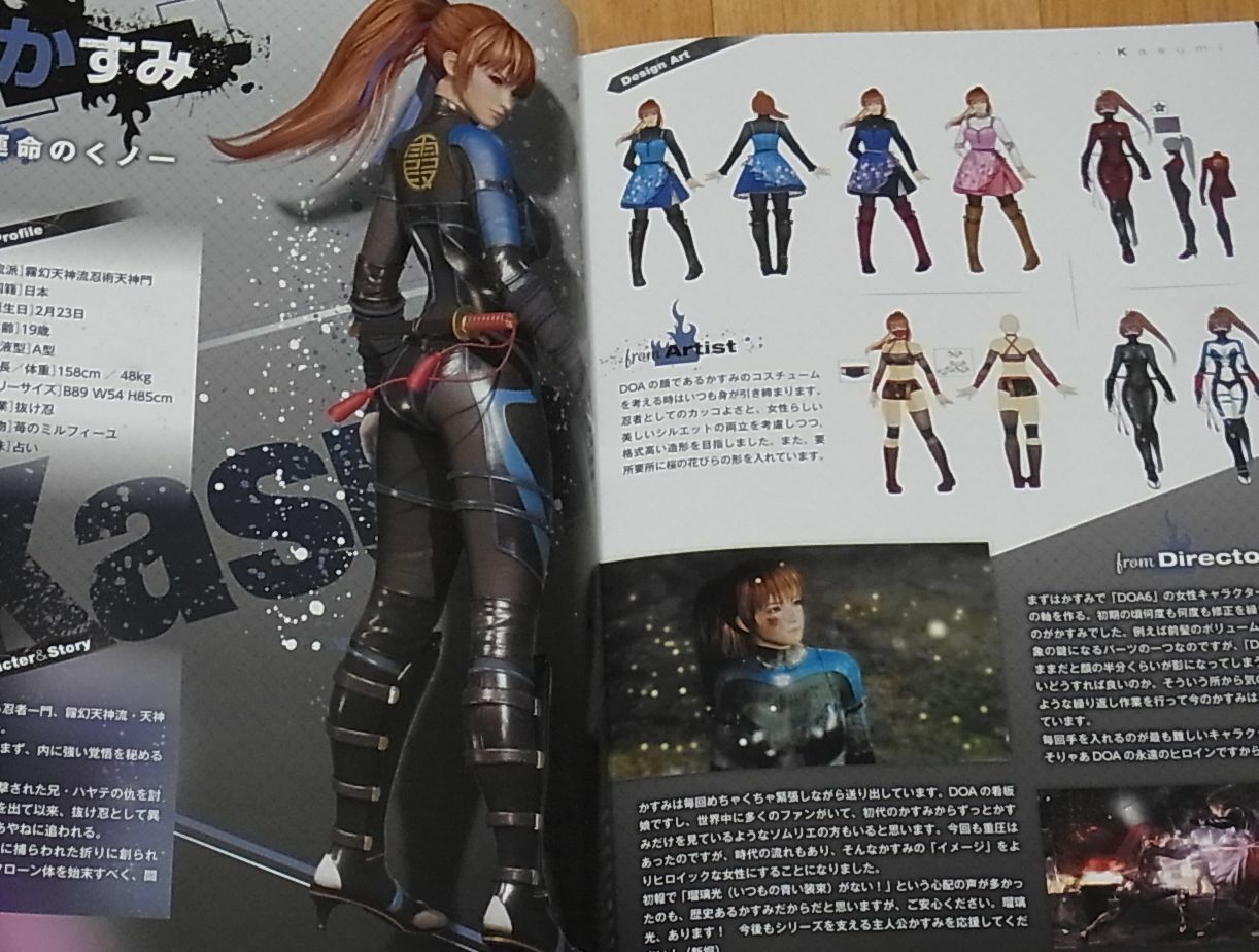 DEAD OR ALIVE 6 Official Visual Book DOA6 