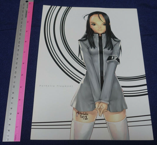 Ugetsu Hakua yellow tag Color Art Book parhelia flag 2 