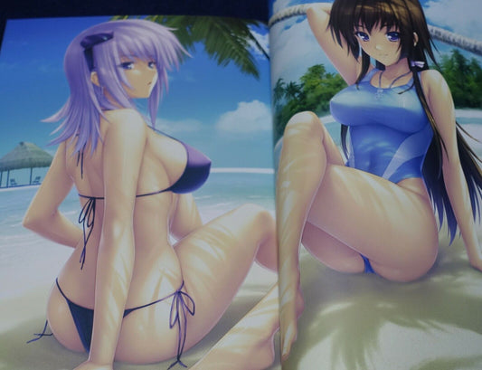 age MUV-LUV ALTERNATIVE Setting & Design Collection Book LD4 CHRONICLES 