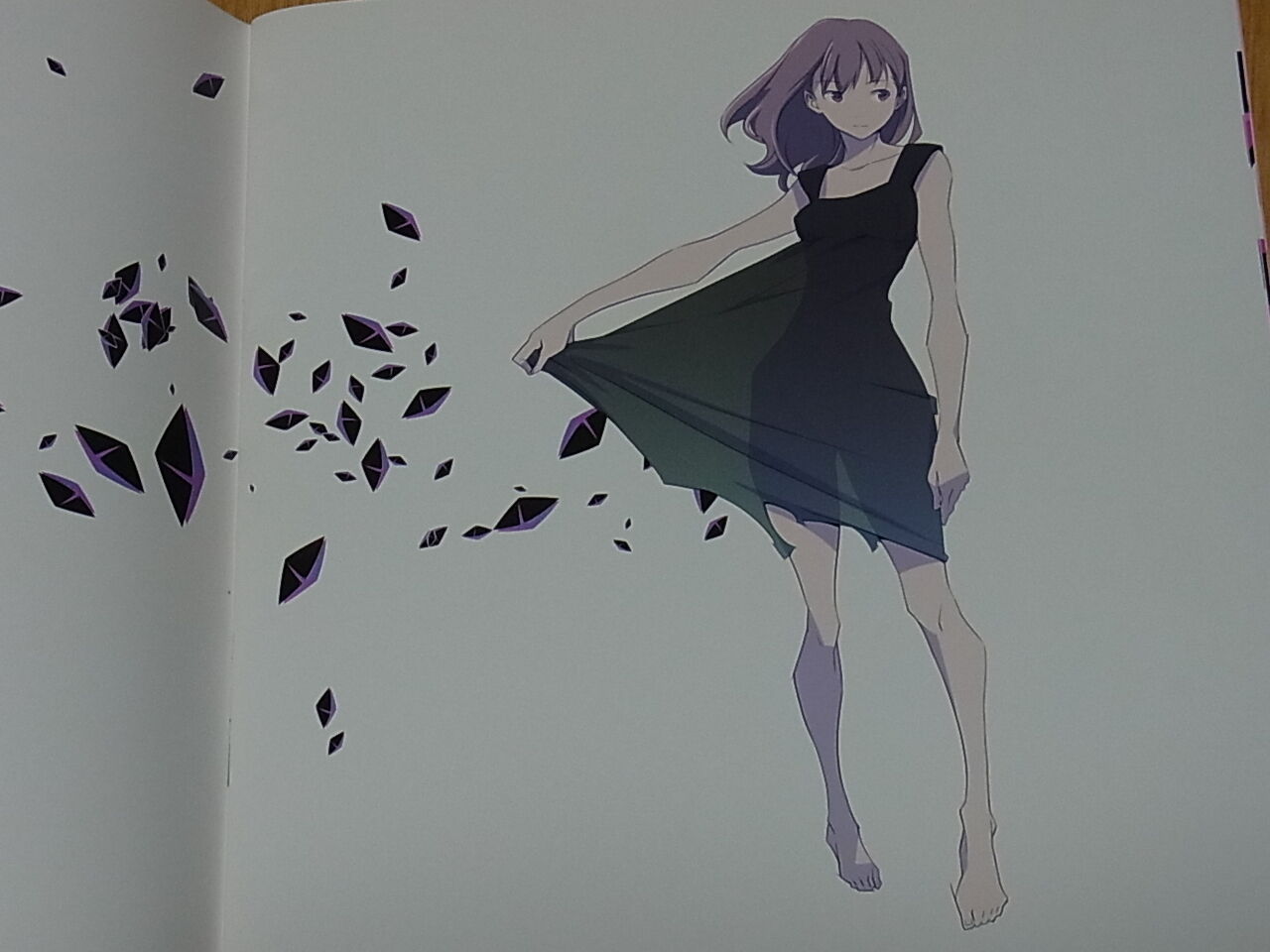 Shigeto koyama Original Color Art Book Secret 