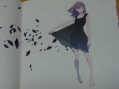 Shigeto koyama Original Color Art Book Secret 