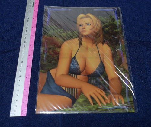 Dead or Alive Xtreme PVC Art Sheet Clear File Tina 