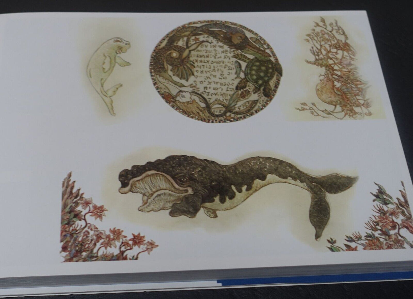Children of the Sea Kaijyuu no Kodomo Animation Movie Art Work Book Set 