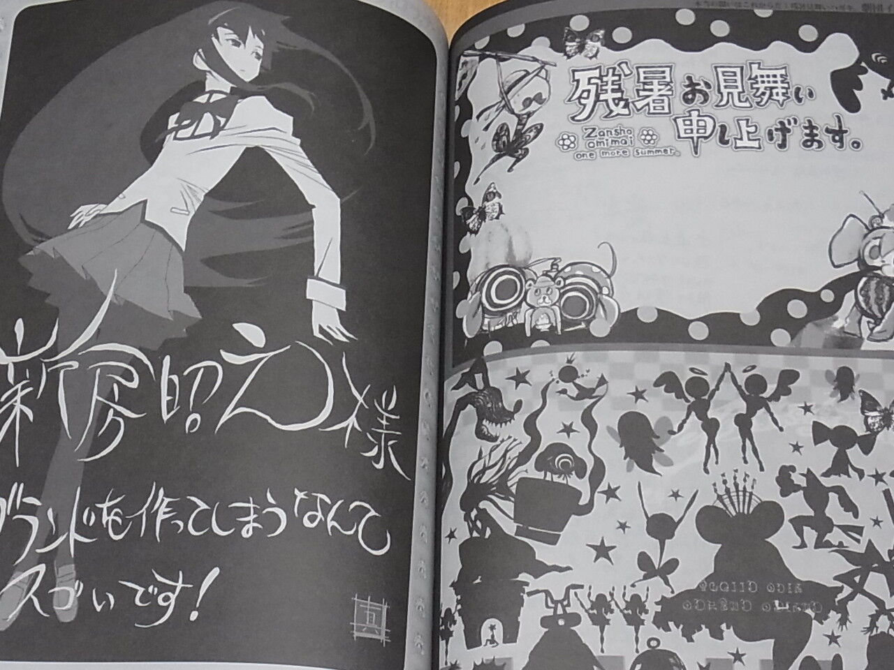 PUELLA MAGI MADOKA MAGICA Animation Staff Illustration Doujinshi Tiro finale! 