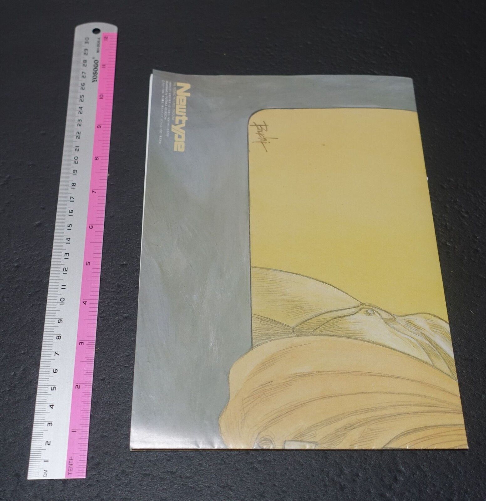Yutaka Izubuchi Record of Lodoss War Art Poster 